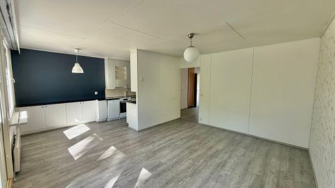 Image 1/19