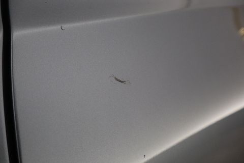 Image 40/47