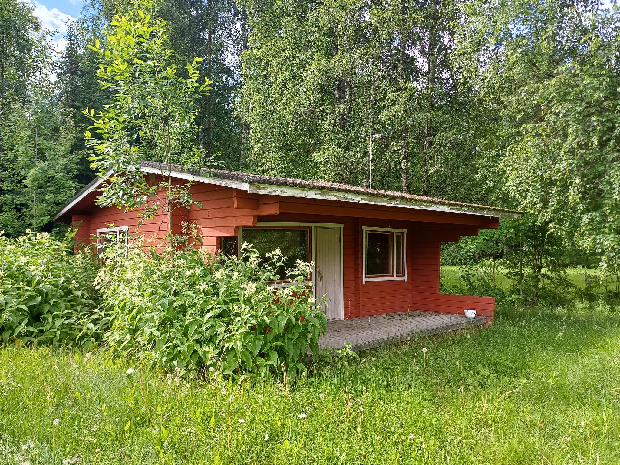 Image 7/45