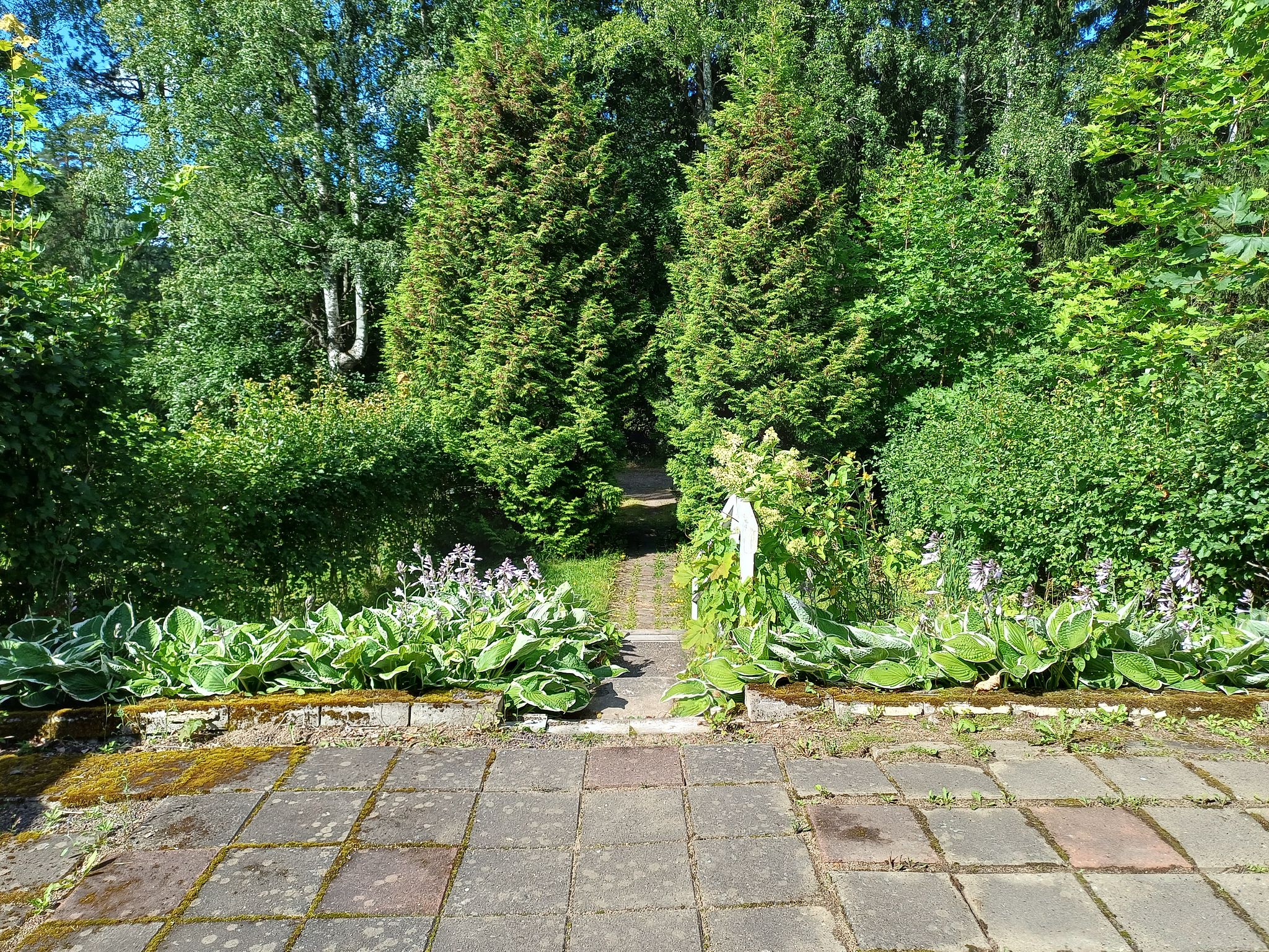 Image 2/20