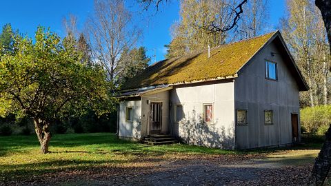 Image 12/38