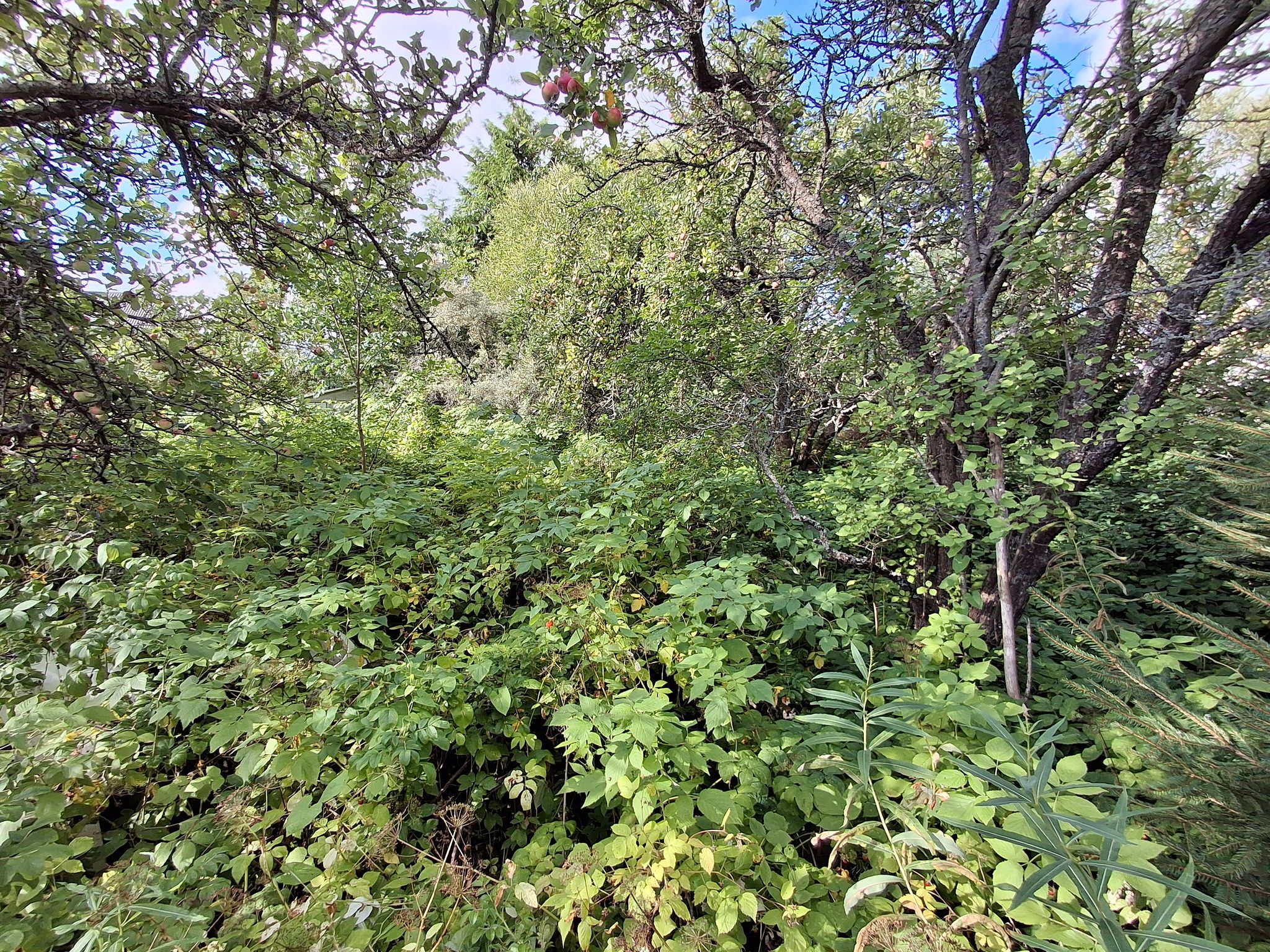 Image 42/42