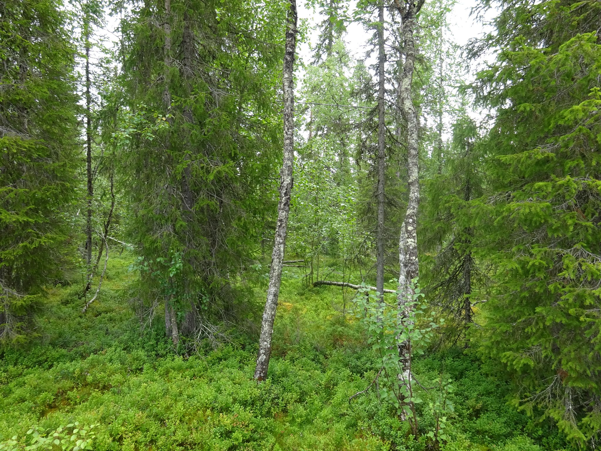Image 4/11