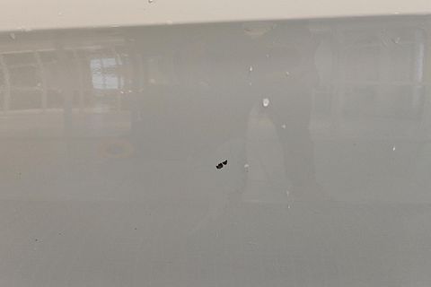 Image 31/51